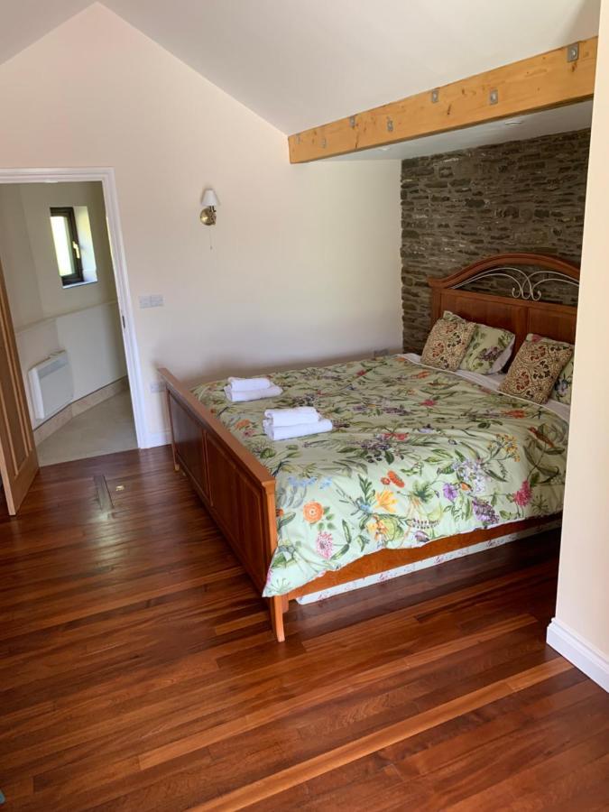 Neuadd Villa Llanwnen Extérieur photo